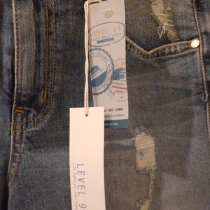 Level 99 distressed shorts